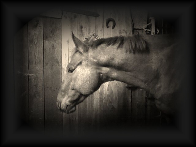 miláček je můj Model....