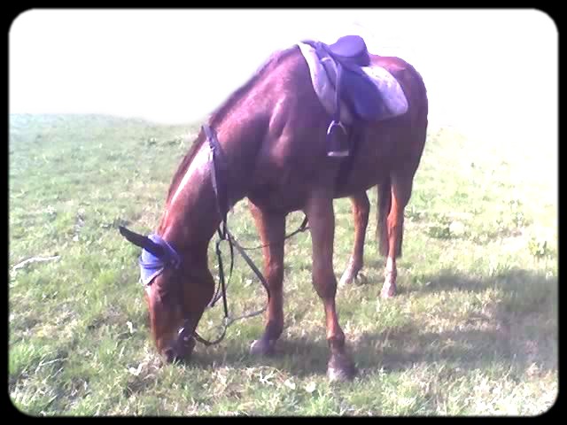 4roky stará fotečka....